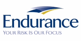 Endurance logo