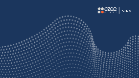 Ezee Fiber logo