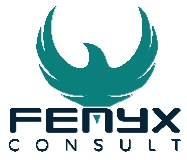 Fenyx Consult logo