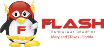 Flash Technology Group LLC logo