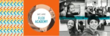 Flex Academy logo