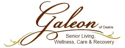 Galeon logo