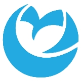 Geo Owl LLC logo