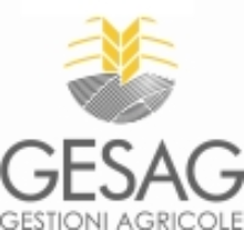 Gesag srl logo