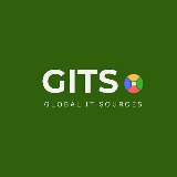 Global IT Sources logo