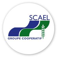 Groupe Scael logo