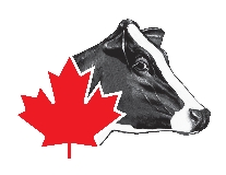 HOLSTEIN CANADA logo