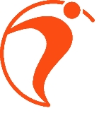 ICB logo