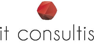 IT Consultis logo