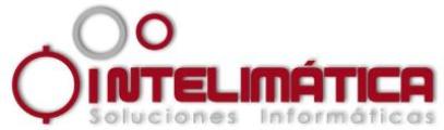 Intelimática Soluciones Informáticas, S. A. de C. V. logo