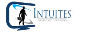 Intuites LLC logo