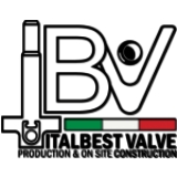 ItalBest Valve S.r.l. logo