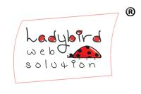 Ladybird web Solution Pvt Ltd logo