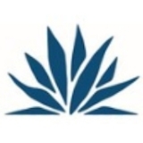 Landsystems logo