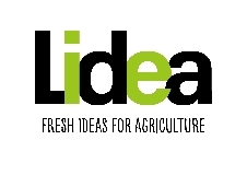 Lidea logo