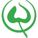 Lindenhofgruppe logo