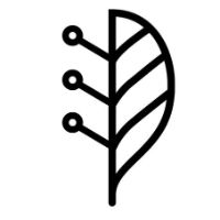 Lindera logo