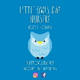 Little Owls Day Nursery logo