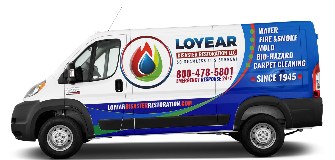 Loyear Disaster Restoration Services, LLC logo