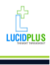 LucidPlus IT Solutions LLP logo