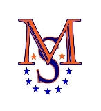 McIntire Solutions, LLC logo