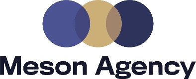 Meson Agency logo
