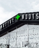 Native Roots logo