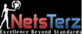 Netsterz Infotech Pvt Ltd logo