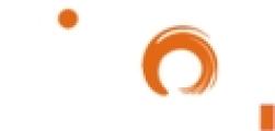Nilson logo