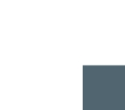 Ninety9 Capital logo