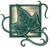 Noland Health Services logo