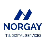 Norgay IT & Digital Services logo