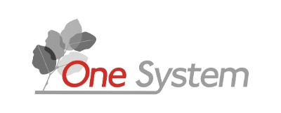 ONE SYSTEM logo