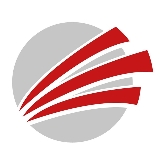 PS Team GmbH logo