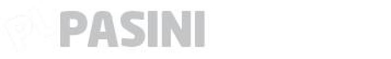 Pasini Leisure logo