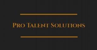 Pro Talent Solutions logo