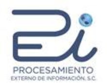 Procesamiento Externo de Información logo