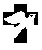 Project Vida Health Center logo