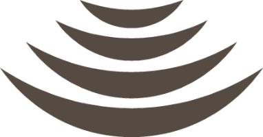 Puig logo