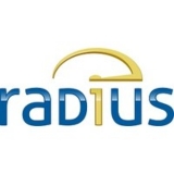 Radius Global Solutions LLC logo