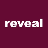 Reveal-Brainspace logo