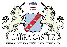 Romantic castles of ireland logo