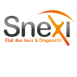 SNEXI logo