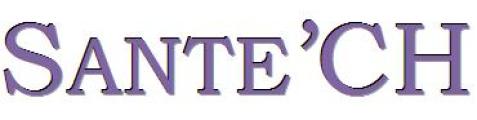 Santech Conseil logo
