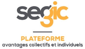Segic logo