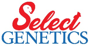 Select Genetics logo