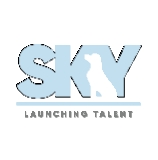 Sky Services logo