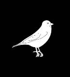 Snowfinch Consulting Group logo