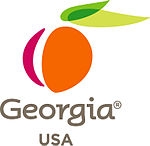 State of Georgia logo