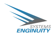 Systems Enginuity logo